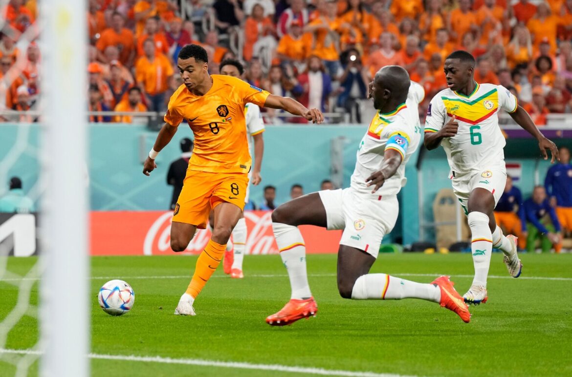 MUNDIAL 2022 | Faces: Κόντι Χάκπο (Ολλανδία)